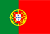 Portugal Google Search Engine