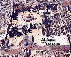 صور لفلسطين و المسجد الاقصى 381