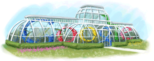 Google Doodle 250th Anniversary of Kew Gardens