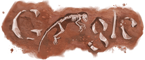 Google Doodle Scientists unveil fossil of Darwinius masillae