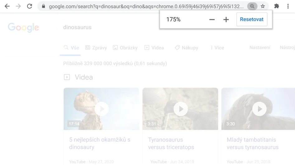 Okno prohlížeče Chrome s otevřenou webovou stránkou a aktivní funkcí lupy.