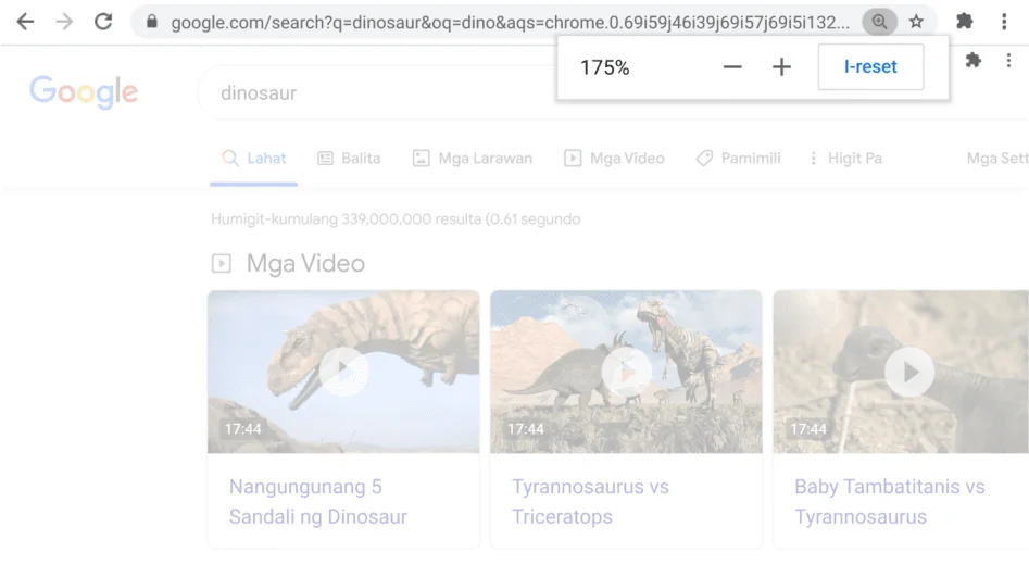 Window ng Chrome browser na nagbubukas sa isang webpage kung saan aktibo ang function na Mag-zoom.