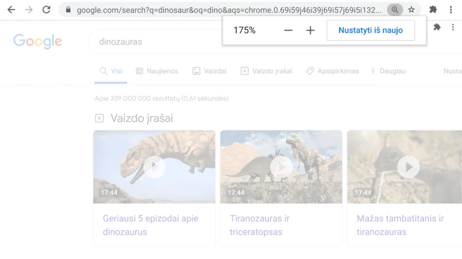 „Chrome“ naršyklės langas, kuriame atidarytas tinklalapis su suaktyvinta mastelio keitimo funkcija.
