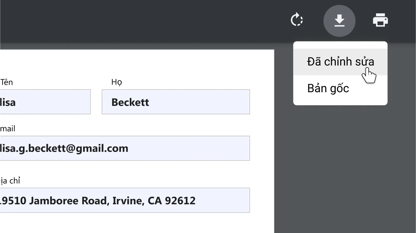Cửa sổ trình duyệt Chrome hiển thị trình đơn tùy chọn tải xuống và in, được phóng to trên một tài liệu PDF đang mở.