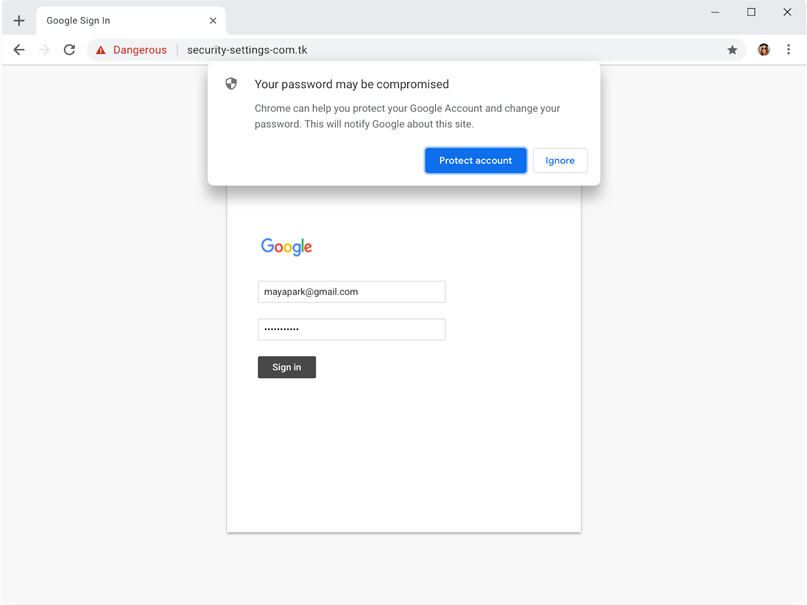 Google Chrome Privacy Whitepaper