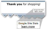 Statistici site Google