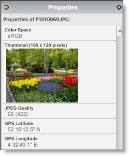 Image metadata being displayed in Picasa