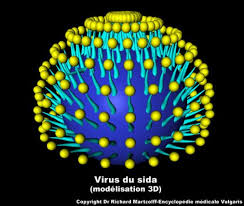 http://www.vulgaris-medical.com/images/infectieux-et-parasitologie-7/sida-virus-du-397.html