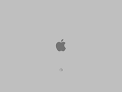 Basic grey Mac boot screen with Apple logo and spinner