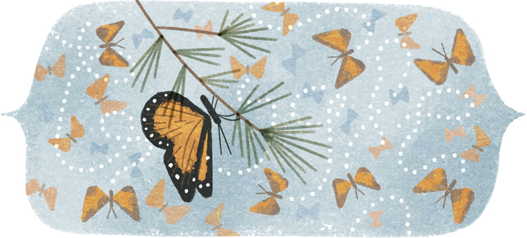 41st Anniversary of the discovery of the Mountain of the Butterflies Doodle