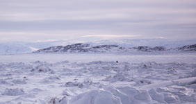 venice google maps iqaluit treks street explore