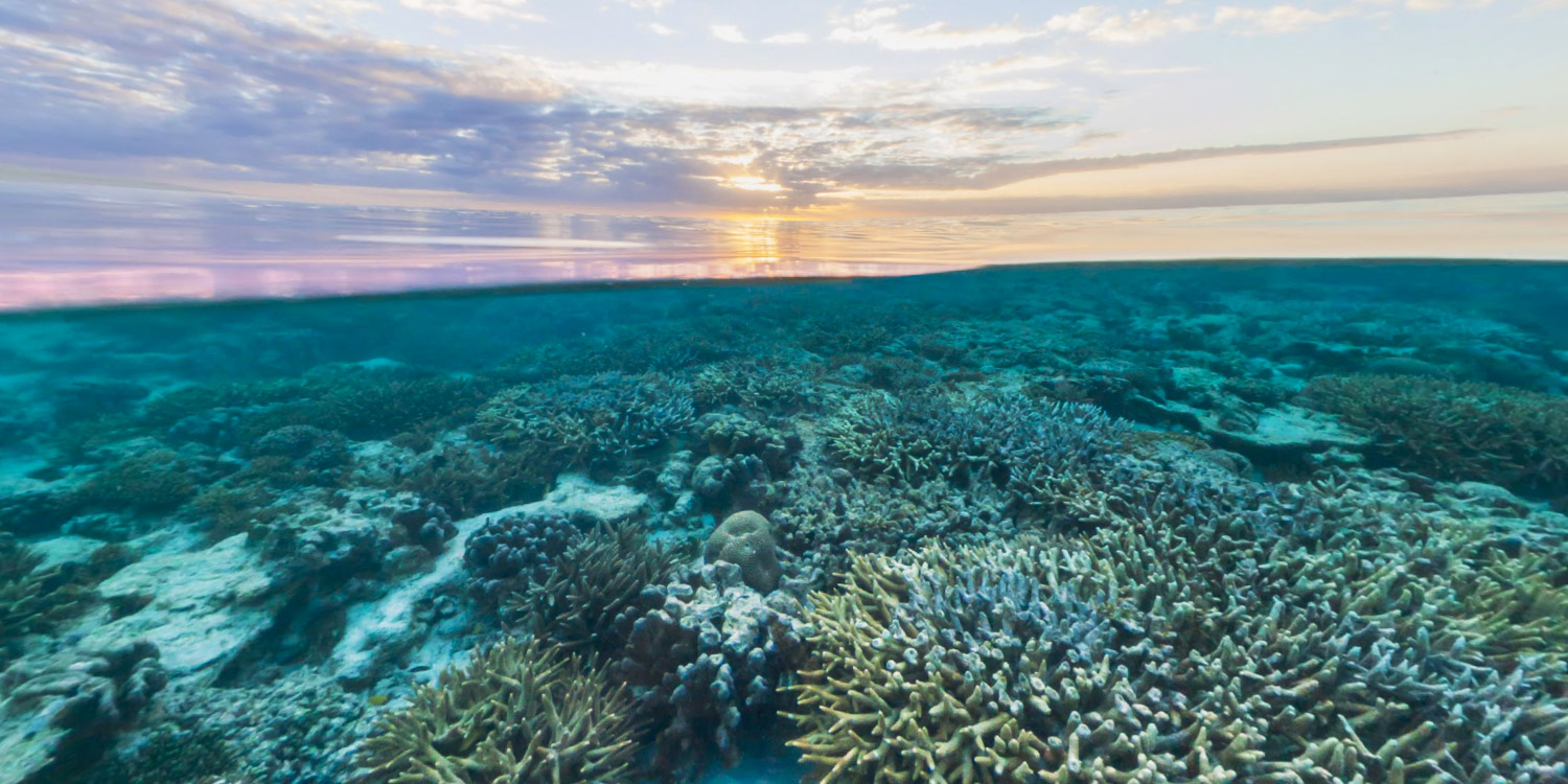 Street View Treks Great Barrier Reef About Google Maps
