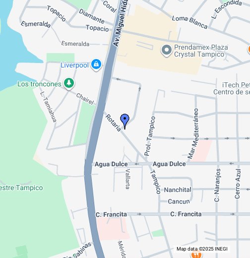 Berlitz Tampico Google My Maps